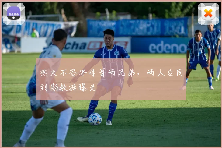 热火不签字母哥两兄弟,两人合同到期数据曝光