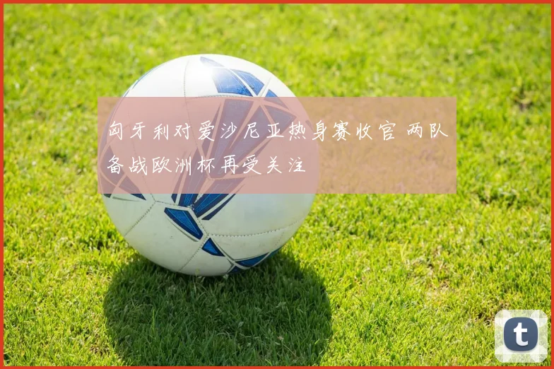 匈牙利对爱沙尼亚热身赛收官 两队备战欧洲杯再受关注