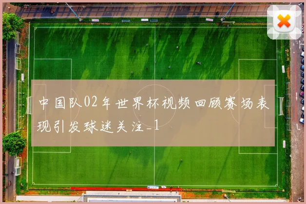 中国队02年世界杯视频回顾赛场表现引发球迷关注_1